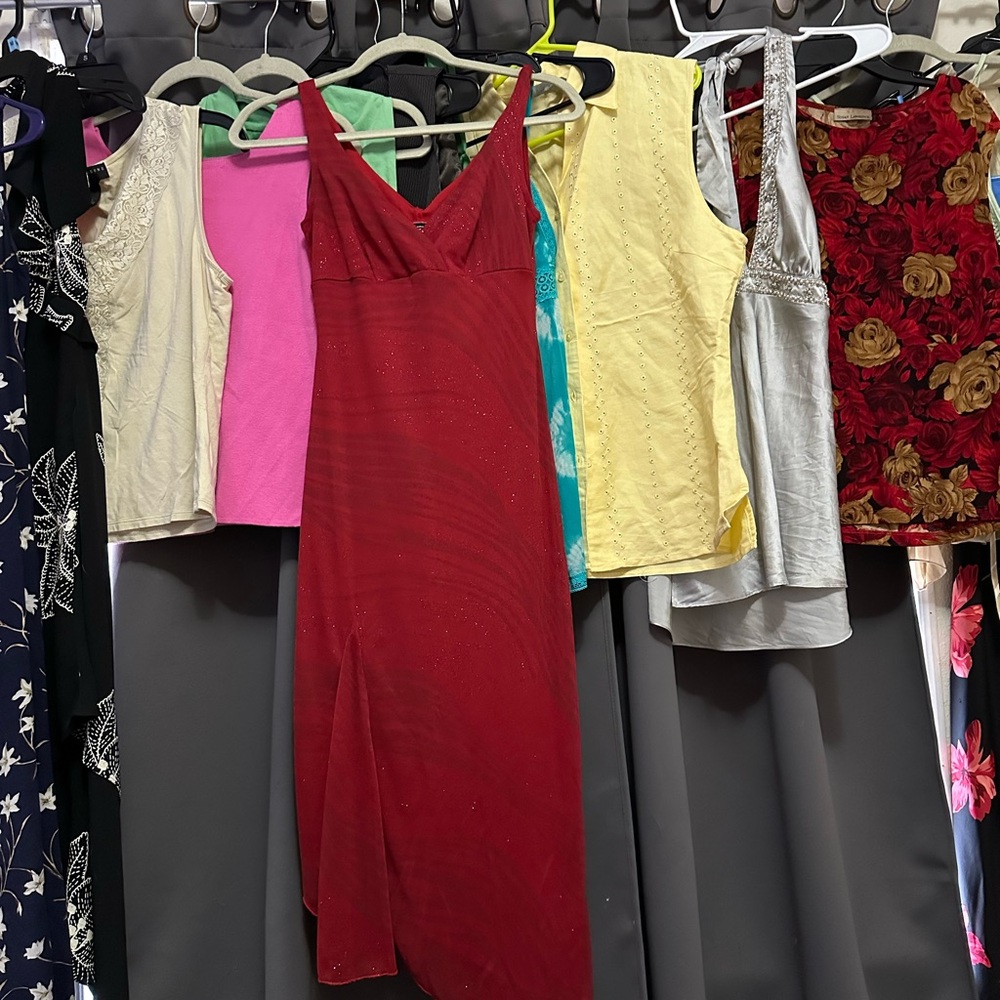 Elegant Red Sleeveless dress